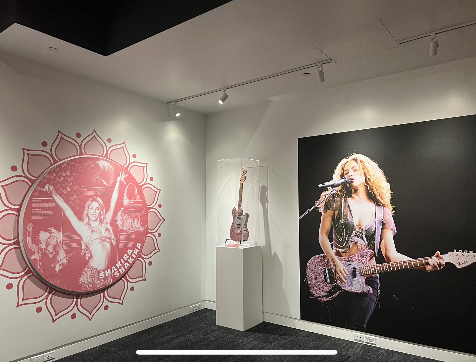 Shakira, Shakira The GRAMMY Museum Experience You, Me + Chisme